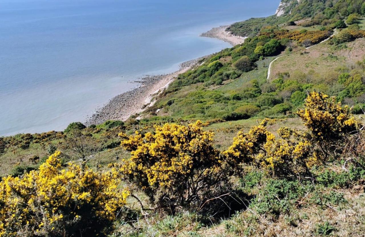 Elegant Spacious Seaside Apartment St Leonards-on-Sea Eksteriør billede